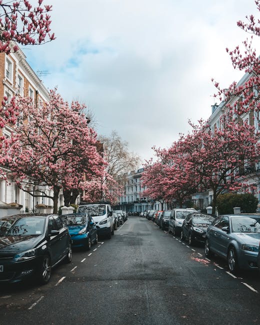 A residential street in South Kensington lined with parked cars on both sides, including sedans, hatchbacks, and SUVs, with a narrow, asphalt road running through the centre. The street is bordered by elegant Victorian-style terraced houses with white façades and decorative architectural details. Prominent in the scene are multiple pink blossom trees in full bloom, their branches extending over the street and creating a canopy of flowers, contrasting against a partly cloudy sky with patches of blue. The scene is calm and typical of a quiet neighbourhood, with no visible activity related to house removals or packing processes. The setting reflects a tranquil, well-maintained urban environment suitable for house relocations, and the company [COMPANY_NAME] may assist with furniture transport or home relocation services in this area, supporting smooth moving logistics in South Kensington.